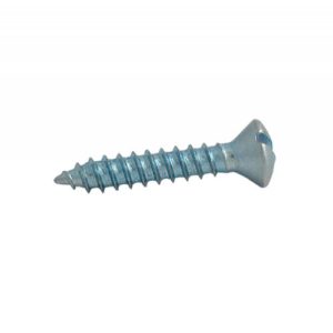 Self Tapping Screws RH/NP 6x19mm - 100